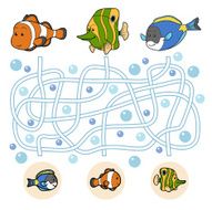 Maze game fish family