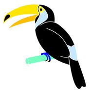 Cartoon animal - toucan flat coloring style