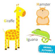 Letter G H I Giraffe Hamster Iguana