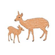 Female deer with a fawn