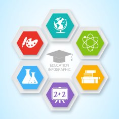 Flat Business Infographic Background N68