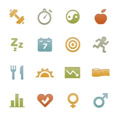 Fitness Icons N16