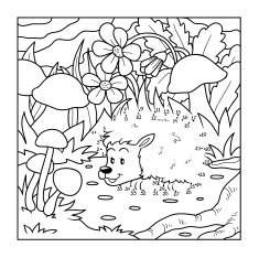 Numbers game (hedgehog)