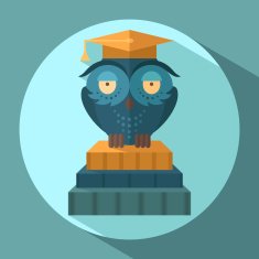 Owls in graduation cap