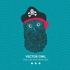 Captain pirate owl