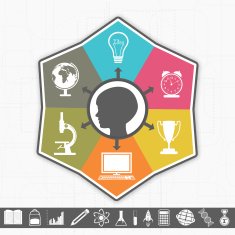 Creative stylish educational infographic layout