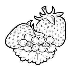Coloring book fruits and vegetables (strawberry)