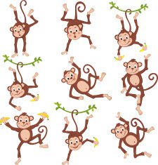 Cute funny monkeys set