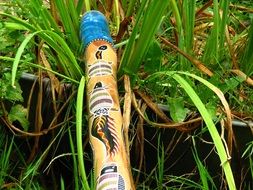 didgeridoo musical instrument on the grass