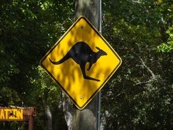 Kangaroo sign