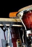 bongos instruments