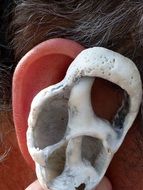 ear shell