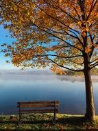 autumn on the lake