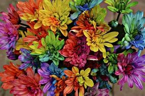 amazing garden flowers color colour bloom