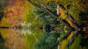 reflection of colorful autumn foliage on a river