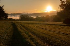 foggy sunrise in the meadow