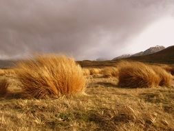 absolutely beautiful countryside farm field