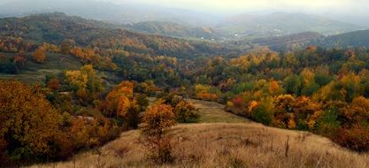 hills with yellow trees in autumn