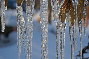 large transparent icicles