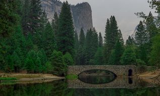 bridge, water, reflection, river, pond