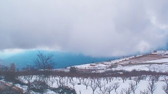 winter cold landscape