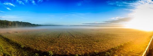 Field landscape sunrise