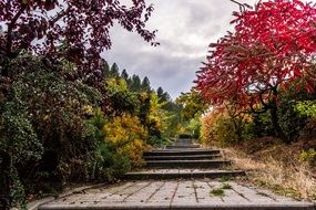 stone stairs in autumn park
