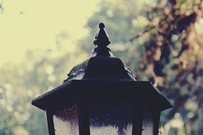 mystical lantern