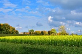 bright autumnal nature