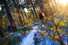 people among the snowy sunny forest