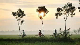 bicycle riding persons in countryside