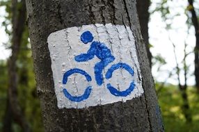 bike excursion coach