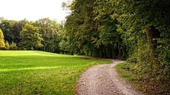 view of the track in the park in Bavaria