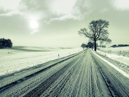 country road covered with snow