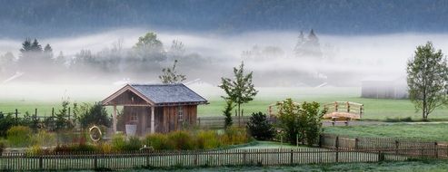 autumn mood, landscape in the fog