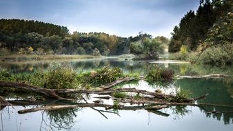 Danube River Basin amid the picturesque lessa