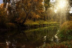 river in forest, fall landscape