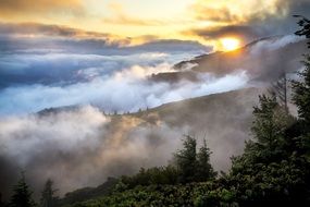 mist smoke landscape