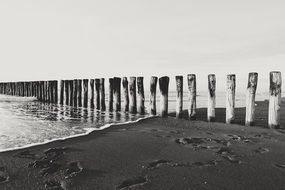 Black and white photo with the wood on the beach
