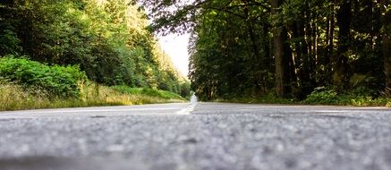 panorama view of the park path