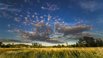 gray clouds over the green field