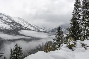 winter snow mountain tree landscape