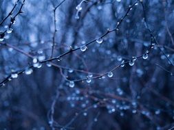 amazing beauty rain drops