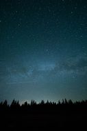 Starry sky over dark forest