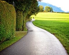 away road lane nature green