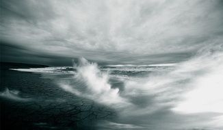 waves on a wild beach in black and white image