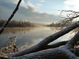 Beautiful calm lake among the plants in winter