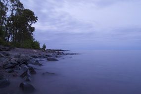 Mystic fog coast shore