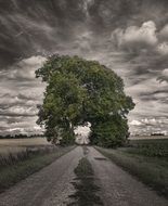 road among dramatic landscape