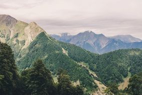 panoramic view of the green picturesque mountains